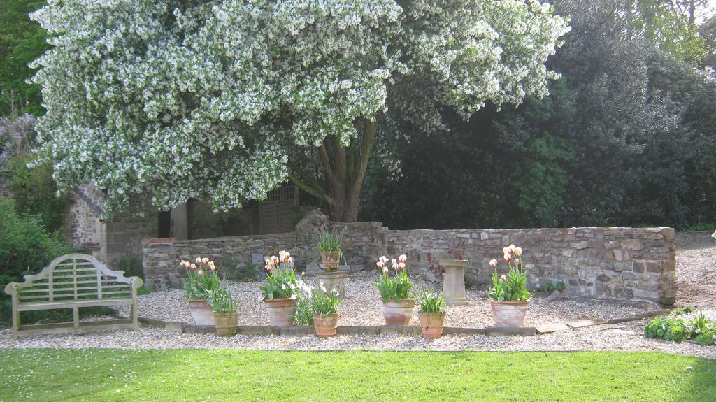 Hollamoor Farm Bed & Breakfast Barnstaple Bagian luar foto