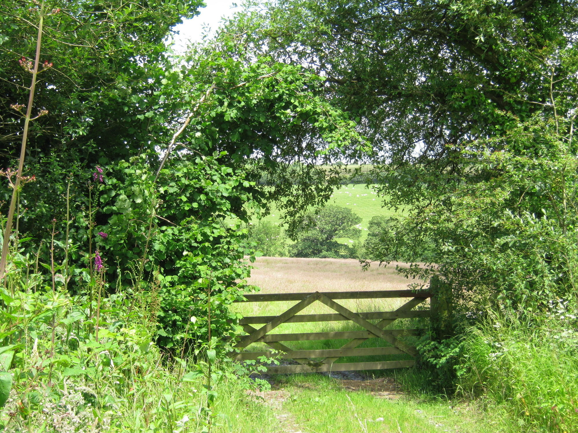 Hollamoor Farm Bed & Breakfast Barnstaple Bagian luar foto