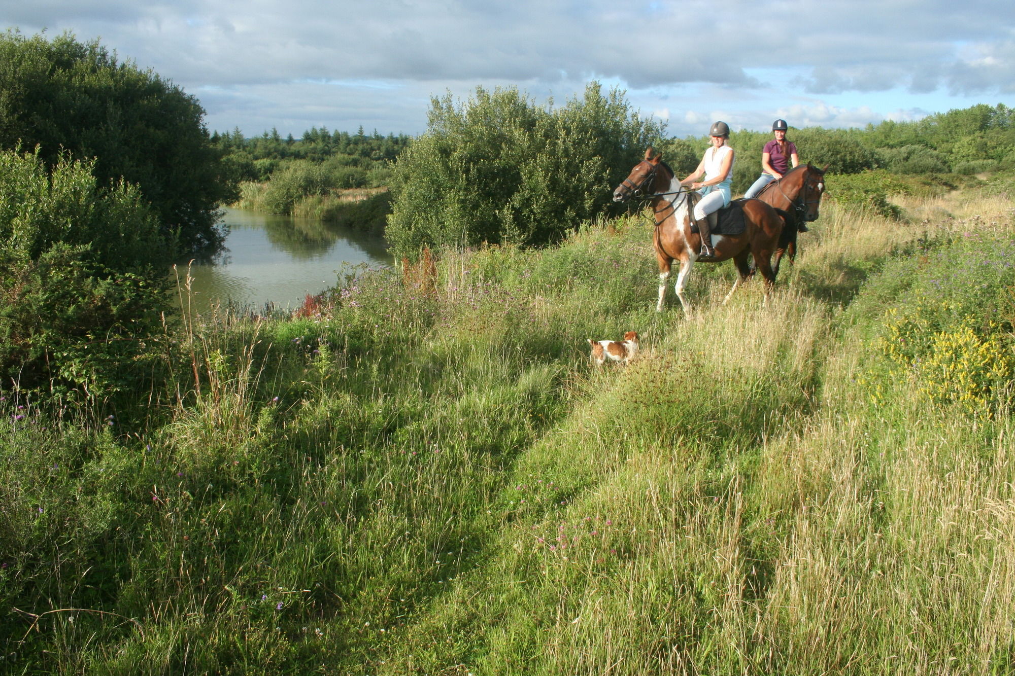 Hollamoor Farm Bed & Breakfast Barnstaple Bagian luar foto