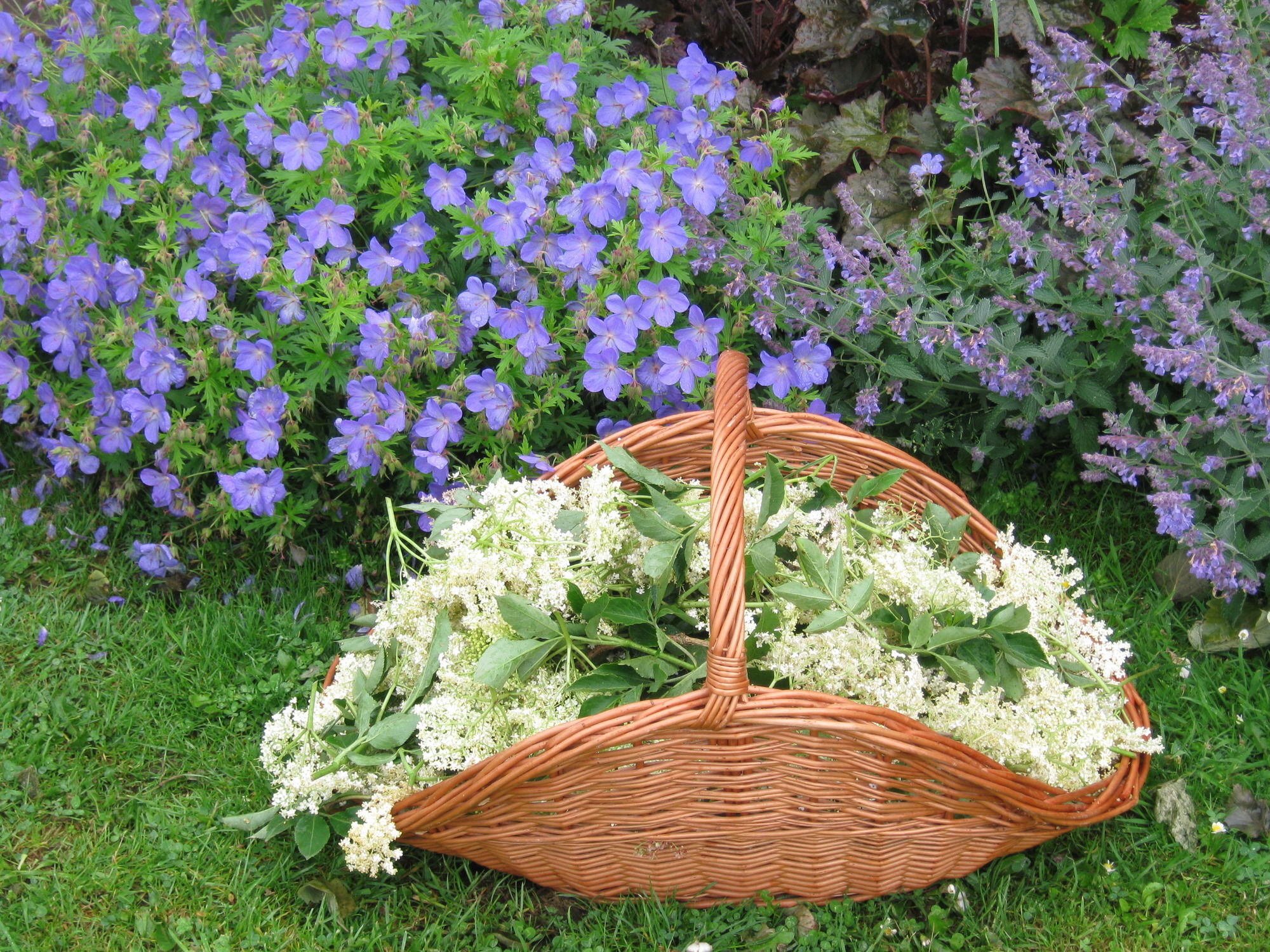 Hollamoor Farm Bed & Breakfast Barnstaple Bagian luar foto