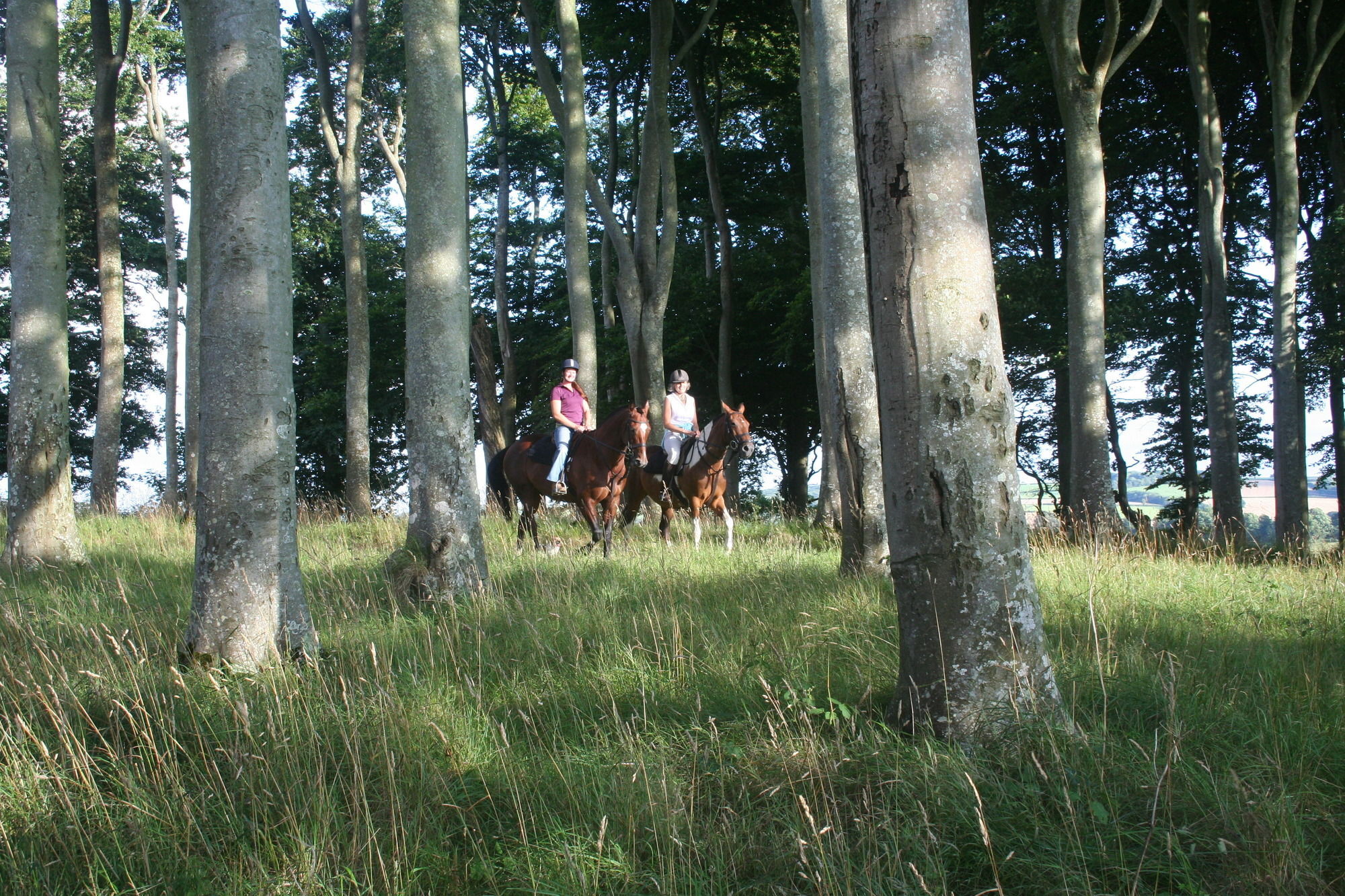 Hollamoor Farm Bed & Breakfast Barnstaple Bagian luar foto