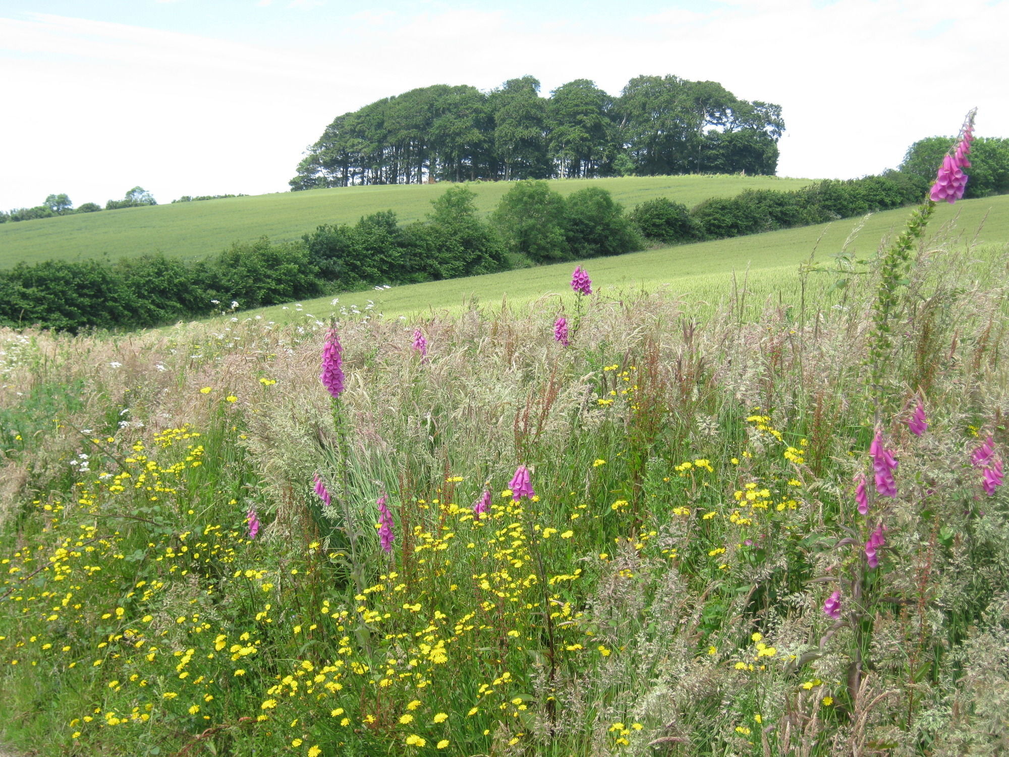 Hollamoor Farm Bed & Breakfast Barnstaple Bagian luar foto