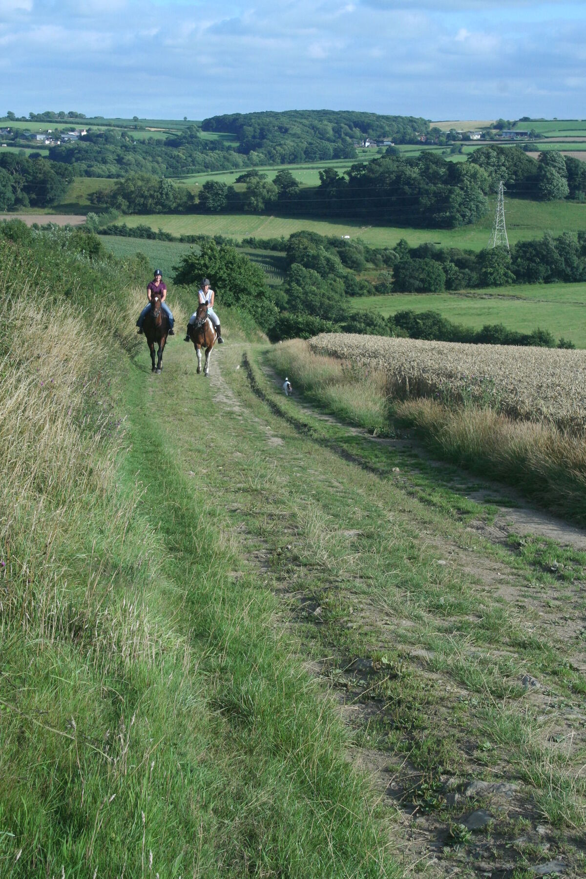 Hollamoor Farm Bed & Breakfast Barnstaple Bagian luar foto