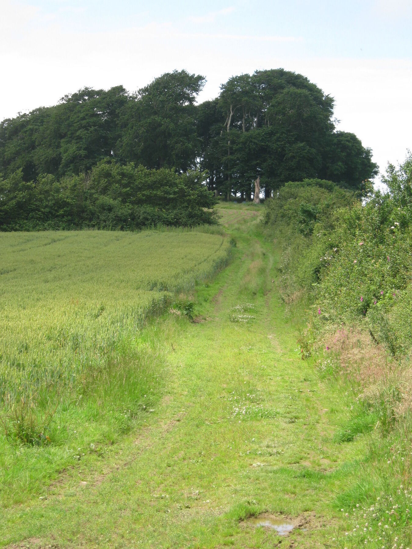Hollamoor Farm Bed & Breakfast Barnstaple Bagian luar foto